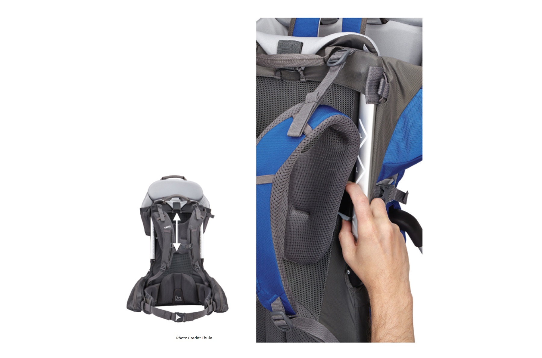 Slate/Cobalt Thule Sapling Elite Child carrier backpack 